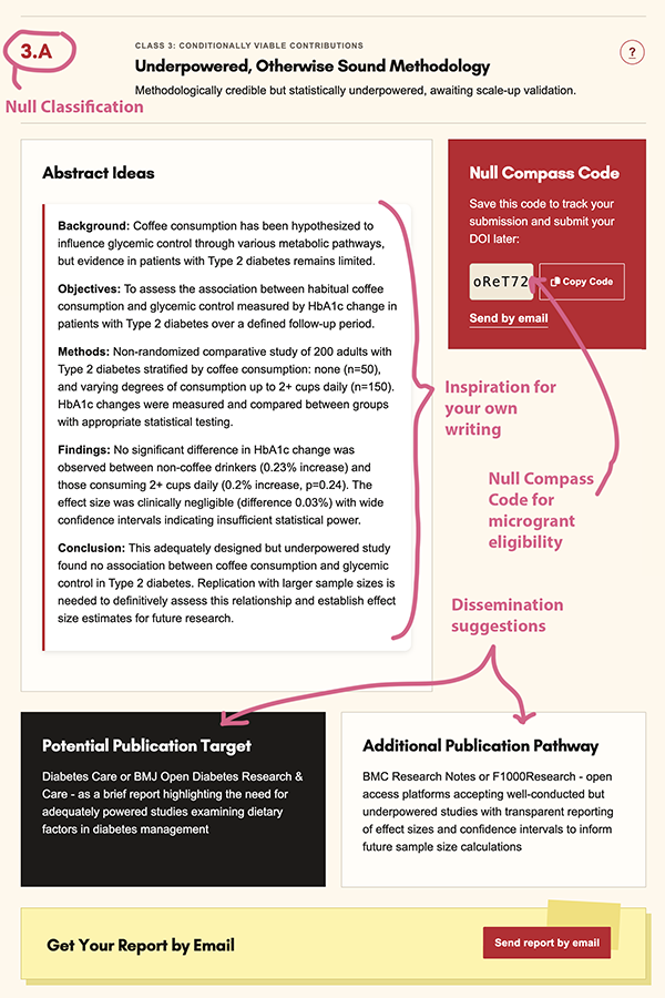 Example Null Compass report showing a null classification, abstract ideas, a Null Compass code, and publication pathway suggestions